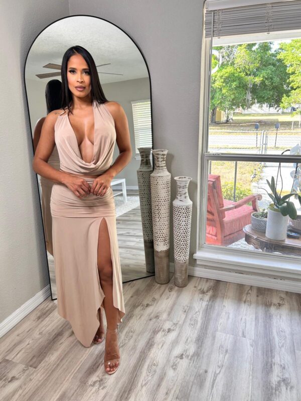 Nudes Dress